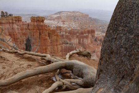 Bryce Canyon